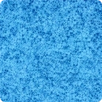 Coral Reef +$280.00