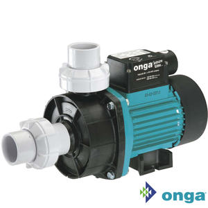 Onga / Pentair / StaRite Swimming Pool Pumps