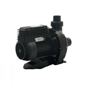Astral XF520- 2.0HP Flooded Suction Pump