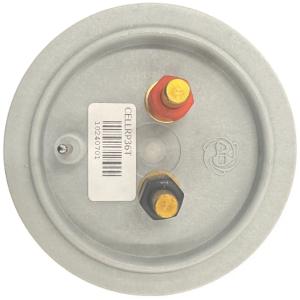 Auto Chlor RP 36 - 168mm Plates Genuine Cell