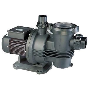 Davey Typhoon C100M - 1.0 HP Pool Pump