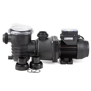 Poolrite Gemini Enduro - 1.0 HP - 2 Speed Pool Pump