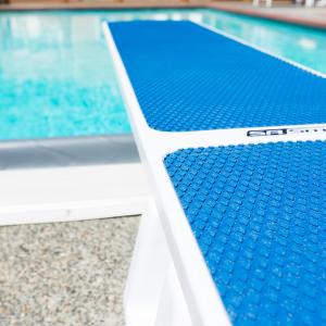 S.R. Smith TrueTread Diving Board (Blue)